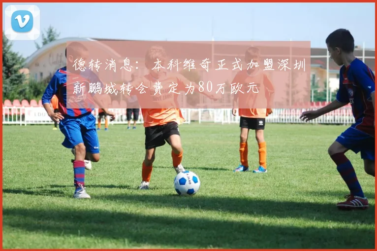 德转消息：本科维奇正式加盟深圳新鹏城转会费定为80万欧元